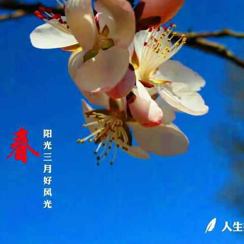 阳光三月好风光—故事从每月1日讲起，执笔写心，分享人生感悟。