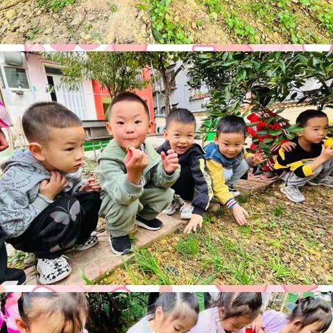 用❤️陪伴  不断成长   ——伯育幼儿园大五班