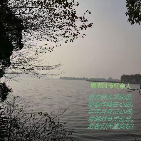 2022清明节忆亲人