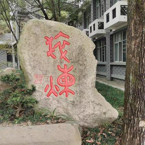 线上培训促成长，德法相融润课堂——小学道德与法治96学时培训之第五天