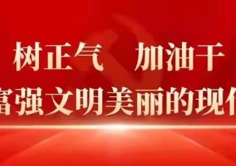 路村营乡强势推进村庄道路净化提升整治工作｜路村营乡3月3日工作动态