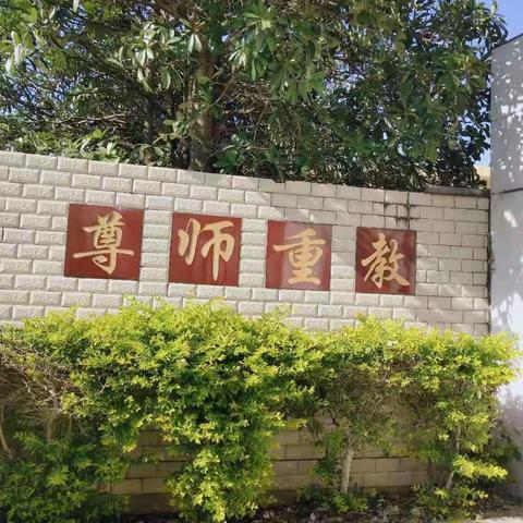 以扎实的常规工作抓教学——大黎镇太兴小学、白祝小学、光郎分校教学常规工作检查总结