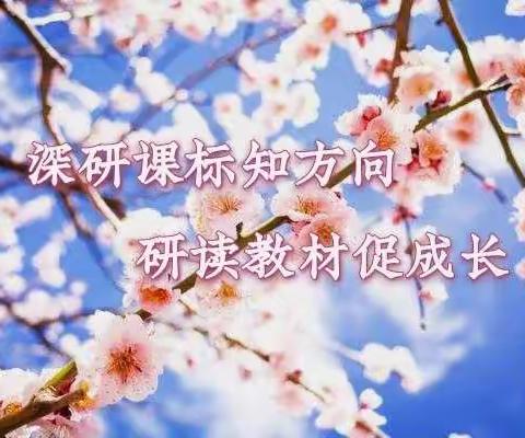 深研课标知方向，研读教材促成长——记育才二小三、四年级数学教研活动