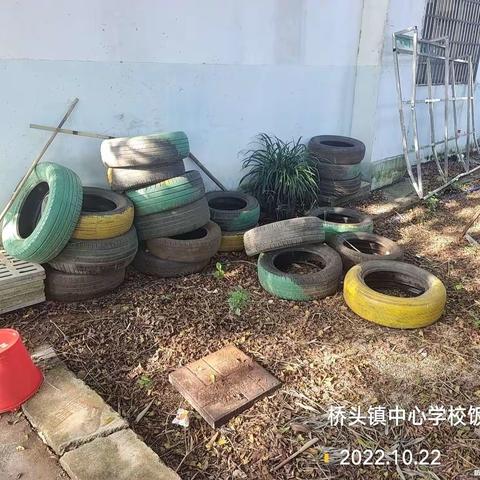 湖南科健远大除虫技术有限公日常巡查