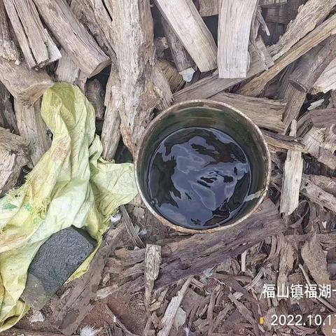 2022年10月17日湖南科健远大除虫技术有限公司在澄迈县福山镇开展病媒防制工作