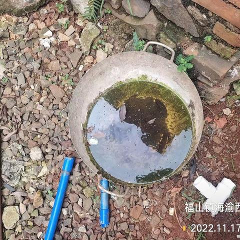 2022年11月17日湖南科健远大除虫技术有限公司在澄迈县福山镇开展病媒防制工作