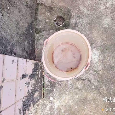 2022年11月18日湖南科健远大除虫技术有限公司在澄迈县桥头镇开展病媒防制工作