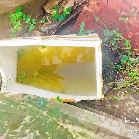 2022年10月26日湖南科健远大除虫技术有限公司在澄迈县福山镇开展病媒防制工作