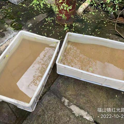 2022年10月21日湖南科健远大除虫技术有限公司在澄迈县福山镇开展病媒防制工作