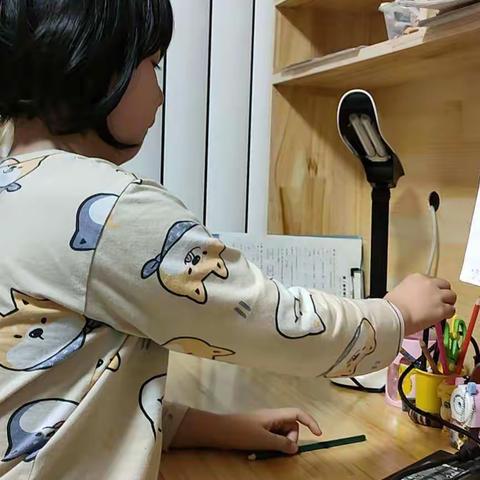 西北井小学停课不停学之“我是整理小能手”