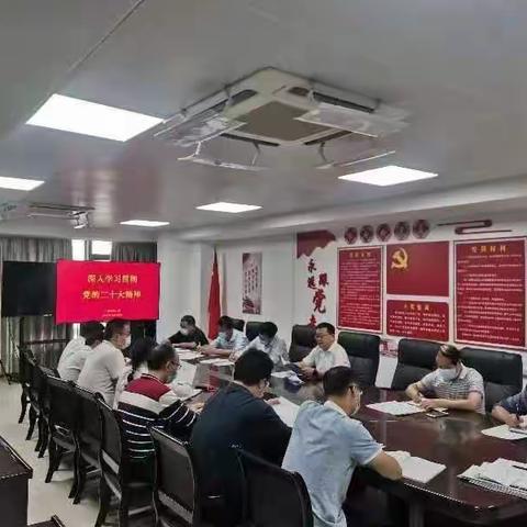 市统计局党组传达学习党的二十大精神