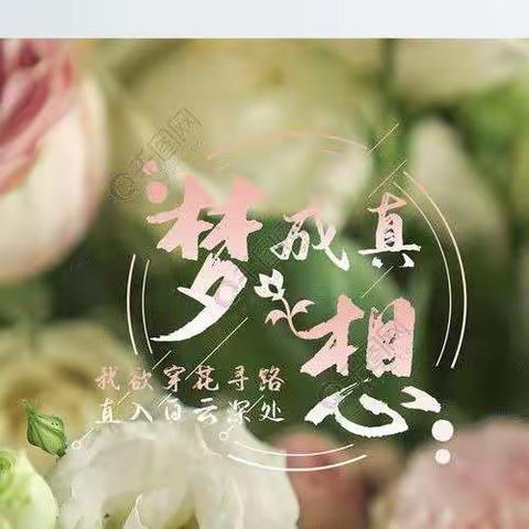 芒果华的美篇
