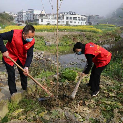 黔江区教委：疫情防控不放松 植树添绿不误时