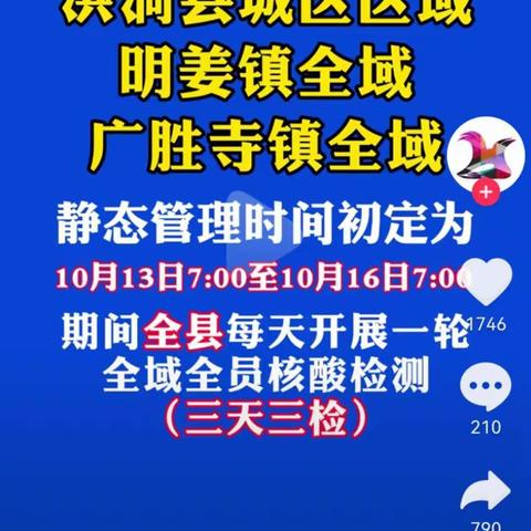 静态中的勇担当