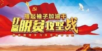 瀛湖镇响水沟村“四支力量”脱贫攻坚在行动