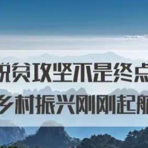 脱贫攻坚不是终点，乡村振兴刚刚启航。