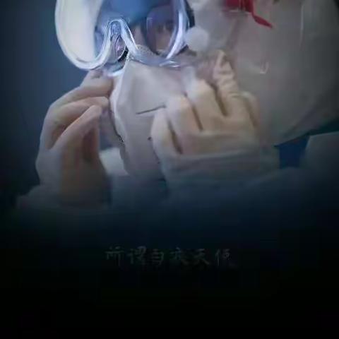 全民战役，静待花开