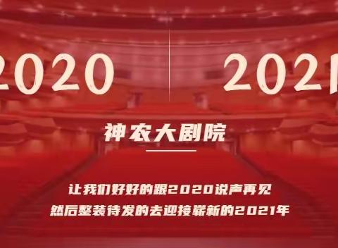 2020，我们辞旧岁，迎新年