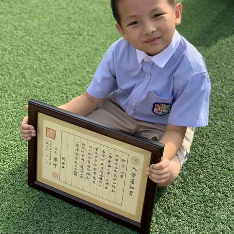 小小蒲公英，励志去远行