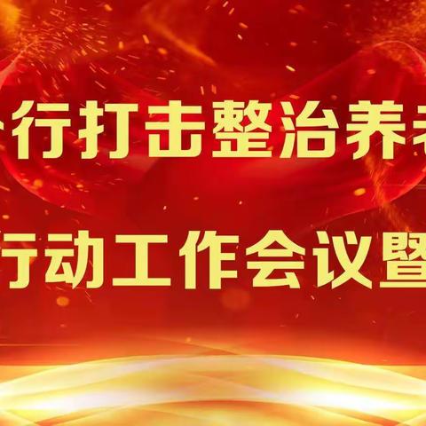 陇南分行召开打击整治养老诈骗专项行动工作会议