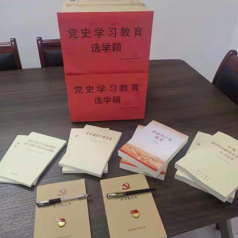 党史学习送上门 红色记忆共传承——嵩阳路社区开展党史学习教育“送学上门”活动