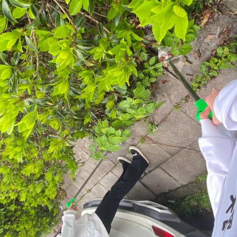 劳动励心智，实践促成长——21幼师（3）班