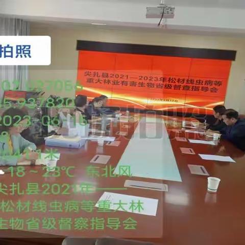 尖扎县召开2021-2023松材线虫病等重大林业有害生物省级督察指导会