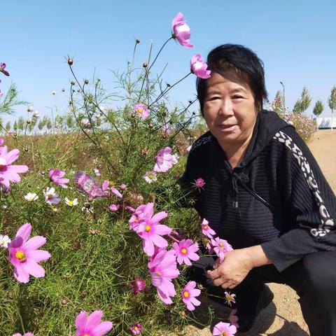 花海秋色