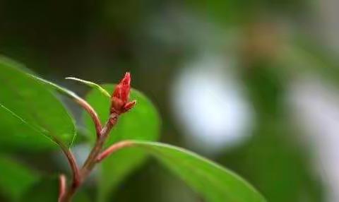 风暖花开日，教研春耕时——姚村镇三孝学校英语组教研活动