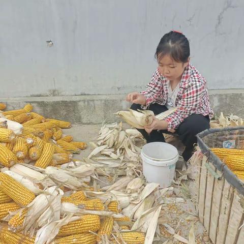 丰收的季节 4（12）中队李梦琳