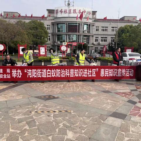 白蚁防治，我们一直在行动