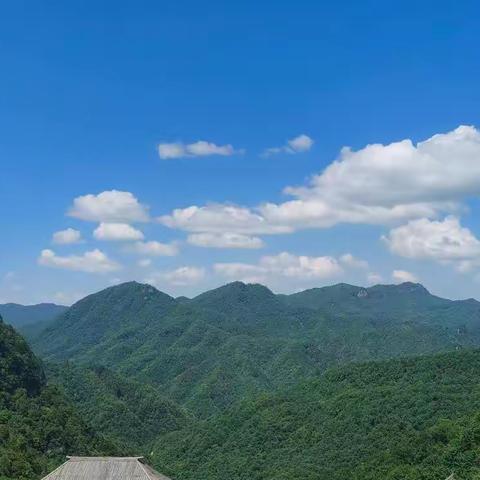 网课学习与秋季半年学习总结