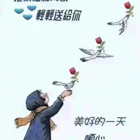网课，不一般的授课