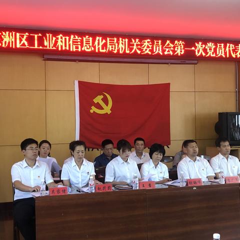 中共东洲区工业和信息化局机关委员会第一次党员代表大会胜利召开