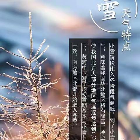 【自然教育】今日课程—“小雪”