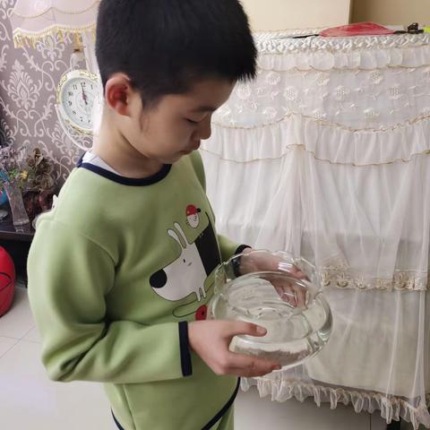 丰富多彩的2021寒假之绿植