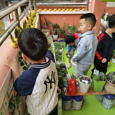 🍃记录美好 留住精彩🍃