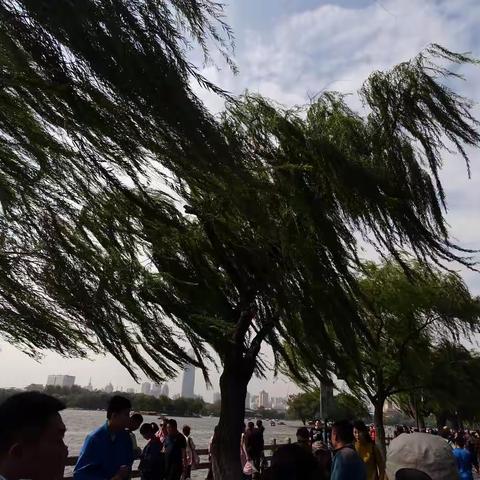 镜头前的大明湖之二——柳浪听涛