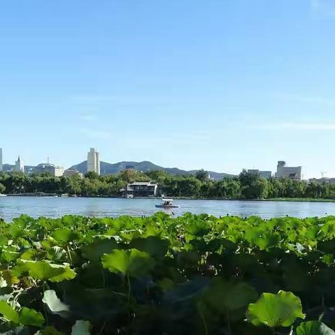 镜头前的大明湖之一——秋分走明湖