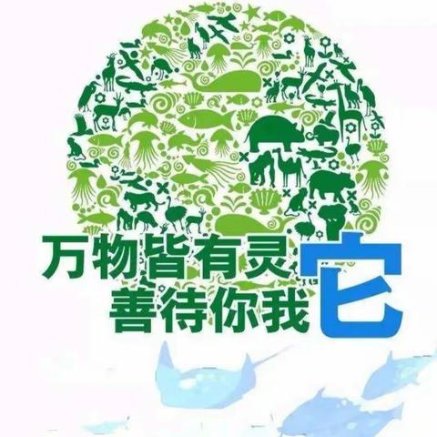 05鑫港社区开展“国际生物多样性日”宣传活动