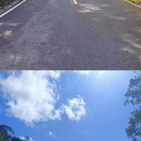 回转公路旅行——吊罗山环山公路植物采集