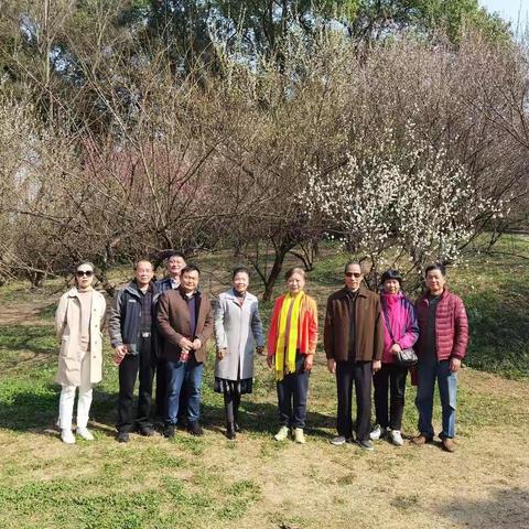 市工信局组织老干部踏青赏花