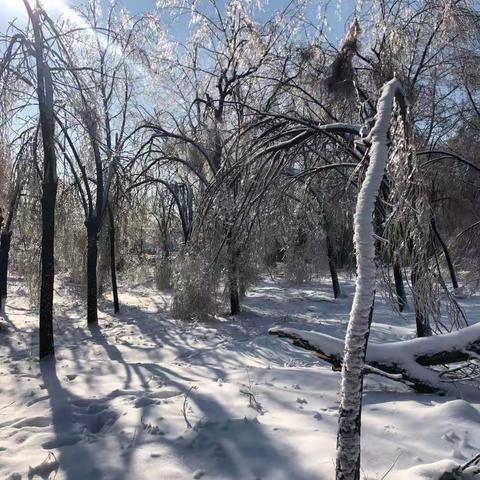 我爱家乡我爱冰雪