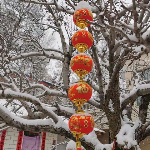 故乡的雪| 甘肃渭源