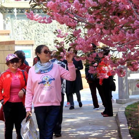 赤山赏花游唯美靓影（1）