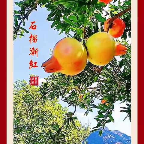 祝贺美篇之家成立