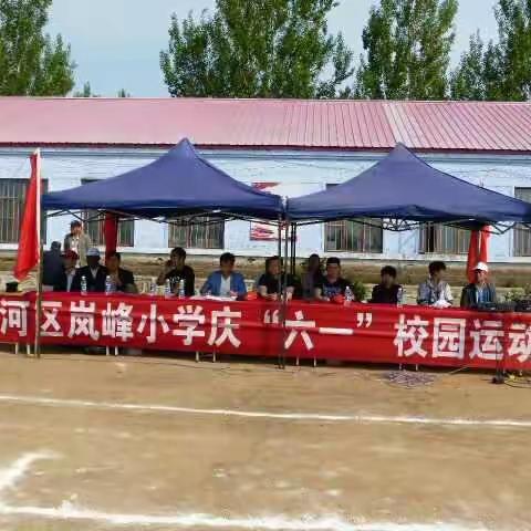 茄子河区岚峰小学校园运动会