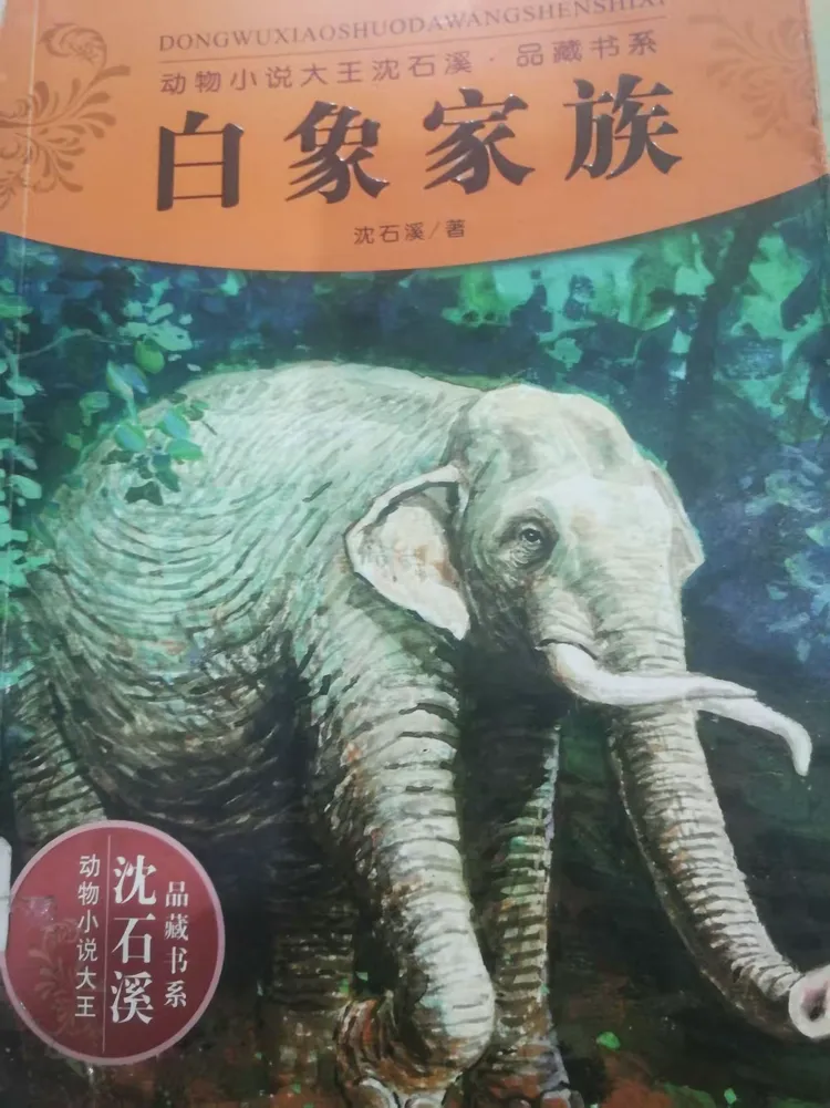 家庭读书会 沈石溪动物小说《白象家族》
