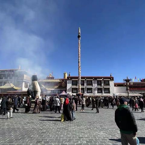 罕见