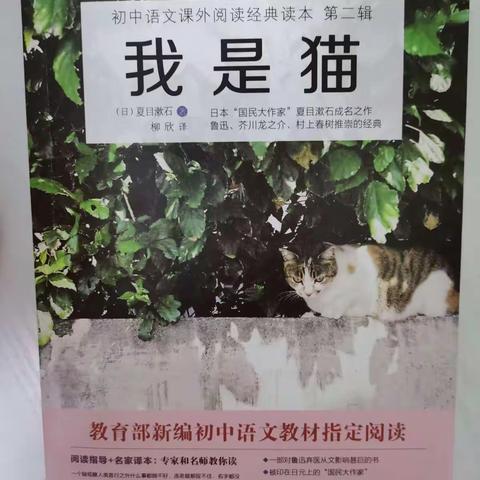 稻草人  家庭读书会